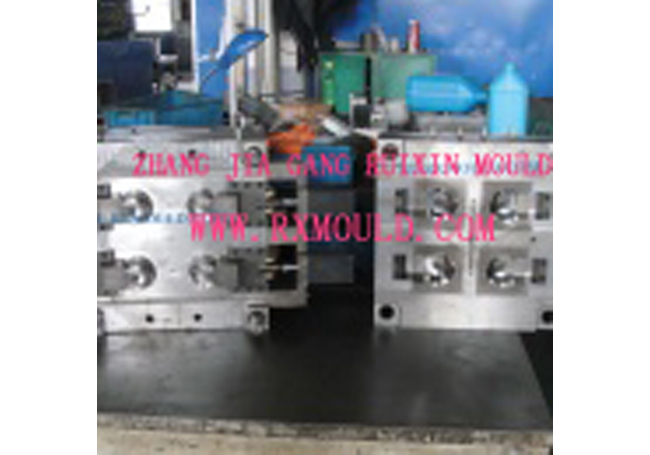 Flip-Top Cap Mould