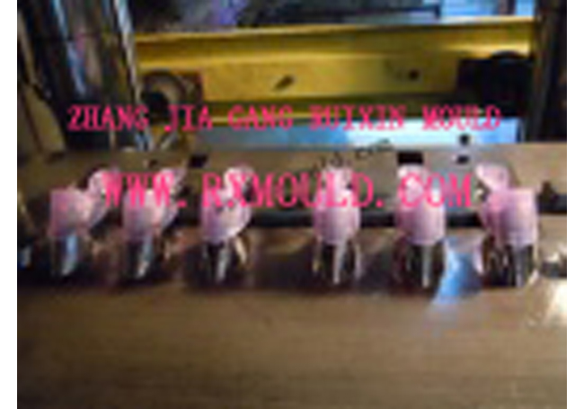 Flip-Top Cap Mould