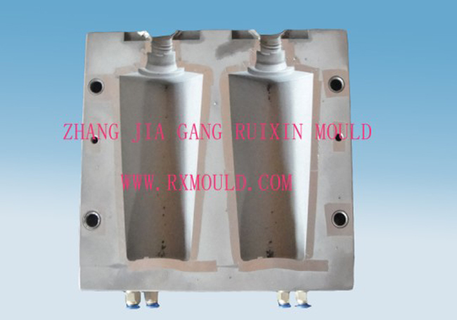 Bottle Mould